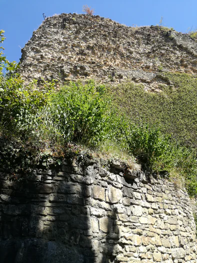 Ruine du chateau Franchimont (Belgique)